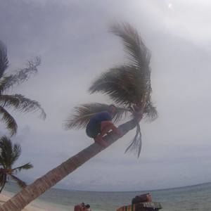 Meet your Posher, Ernie